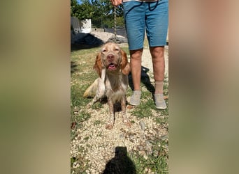Enea - Berufswunsch: Dreamteam-Partner