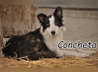 Erhält Concheta dank Ihnen ihre gewünschte Lebensveränderung?