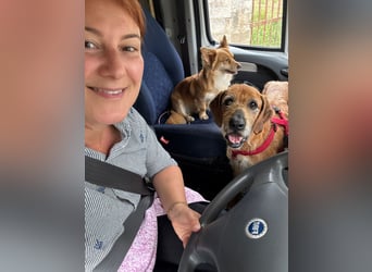 Balu: er hat ganz viel Liebe zu geben