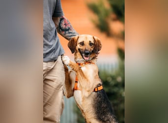 Menschenbezogene Lilo sucht ihre Familie