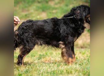 Zeyko