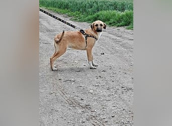 Abby,  möchte mit Dir Neues entdecken