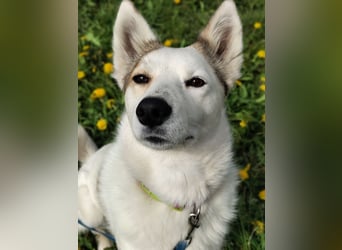 Hallo, ich bin Bella!