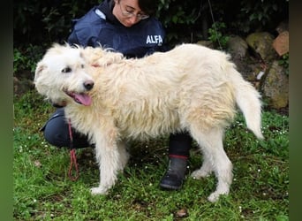 Gatsby - Der große Gatsby sucht seine Daisy