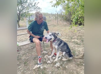 Kody, freut sich auf eine aktive Familie