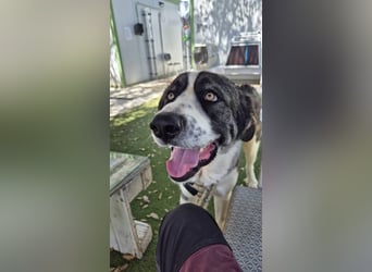 Nobu (Spanien) – der beste Partner, den man sich wünschen kann