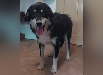 LeeLoo braucht ganz viel Liebe