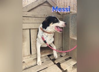 Messi, 01/23 - sportlicher Kumpel sucht seine Menschen