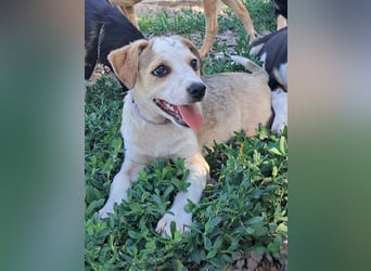 Kleine Nadja ( * 03 / 2025 ) sucht ihre Familie