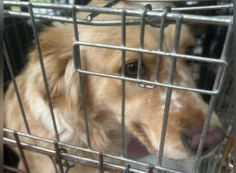 Update Nala: reserviert
