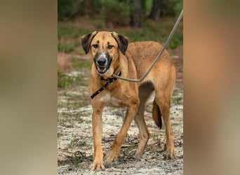 Muffin (weibl.), sucht liebevolle und geduldige Menschen!