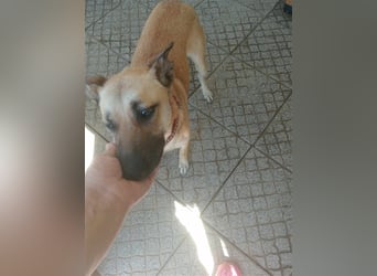 Liebe PRINCESA sucht ihr Traumkörbchen