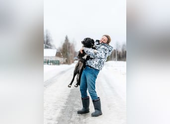 Vorsichtige Tama sucht ihre Familie