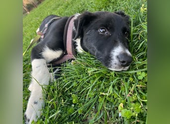 Herzensbrecherin Lena sucht ihre Familie ❤️