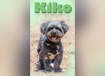 Kiko - ein charmanter Junge