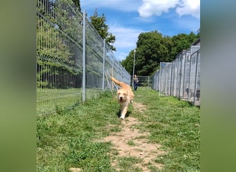 Zobie möchte endlich ankommen