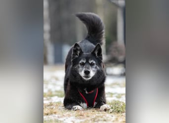 Liebevolle Anita sucht ihre Familie