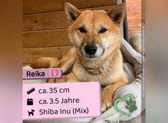 Reika