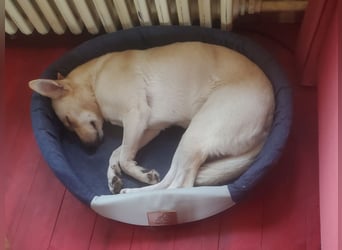 Mila, erwachsene Frau der vielen Facetten