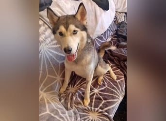 Eve, ein Leben auf dem Balkon ;-(   , fast  2 Jahre lang