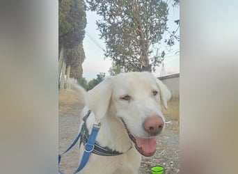 BLANCA