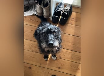 Paty, sucht ihre Herzensmenschen