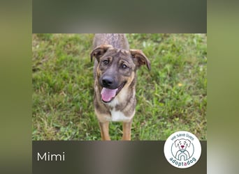 Mimi: Mit einem Lächeln ins Glück