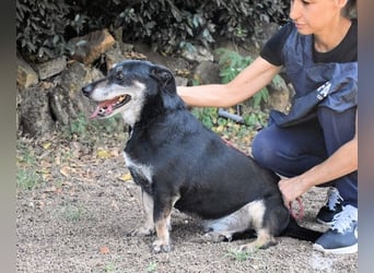 Fonzy- Unikat sucht ebensolches - und Liebe!