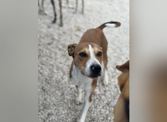 Marley, freundlich und sozial