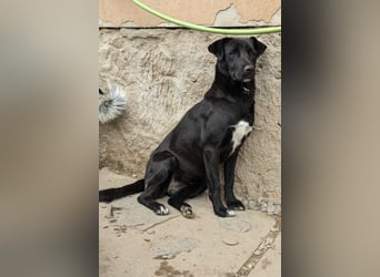 Faye möchte endlich Glück haben