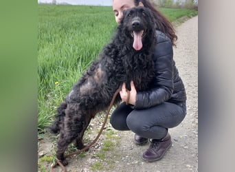 Merida eine wundervolle Seele