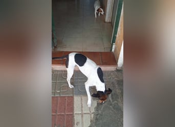 KIKA