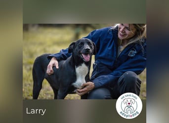Larry: Sportskanone sucht Gleichgesinnte