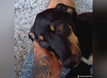 Elsa, kleiner Sonnenschein mit großem Herz