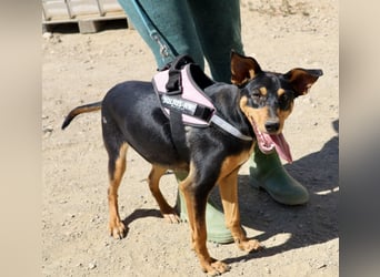 Amy, offen, neugierig und intelligent