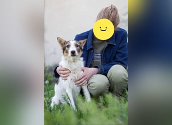 GLORIA - der Name ist Programm (Ukraine)