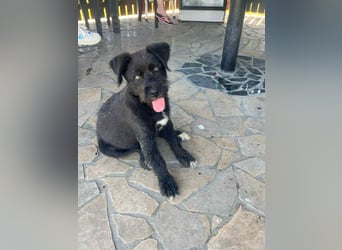 Eléa – Kleine Entdeckerin mit großem Herz sucht Zuhause