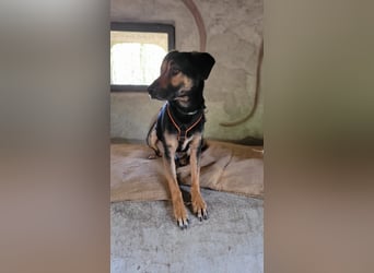 Max - ein echter Hingucker