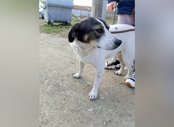 Esme - lieb, verspielt und zutraulich