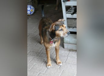 RANA - liebt das Zusammensein mit uns Menschen!