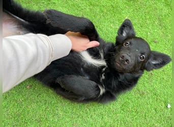 Fiona SR– Kleine Entdeckerin sucht liebevolles Zuhause