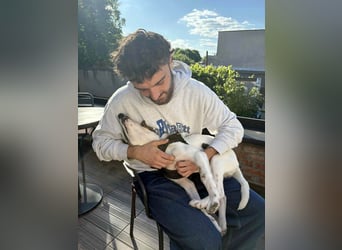 Süßer Leo sucht sein Zuhause