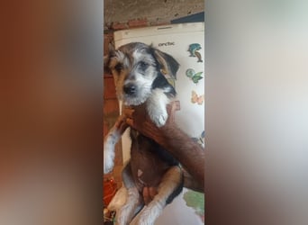 Ruby sucht ihr Abenteuer
