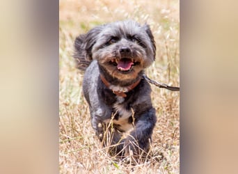 Kiko - ein charmanter Junge