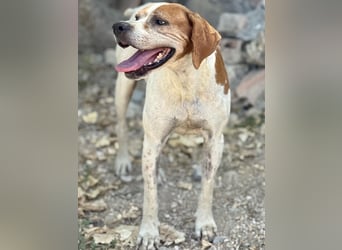 Esther, hofft auf ihr großes Glück