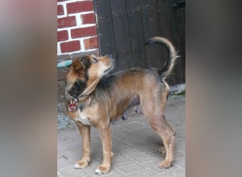 RANA - liebt das Zusammensein mit uns Menschen!
