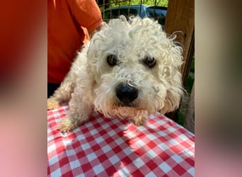 Queeny - Zurückgelassene auf der Suche nach ihrem Königreich