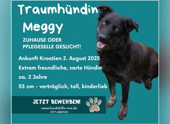 MEGGY – Wer ihr Herz gewinnt, hat eine Freundin fürs Leben!