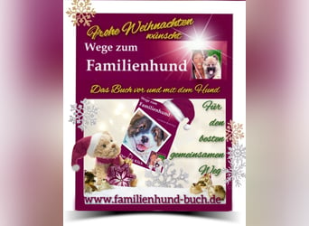 Vor und mit dem Welpen, Junghund, erwachsenen Hund: Das Buch Wege zum Familienhund