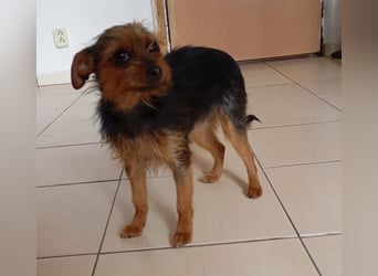 Molly S261 ist zuckersüß und sanft